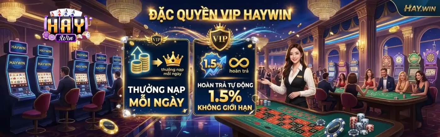 banner-02-66haywin-app