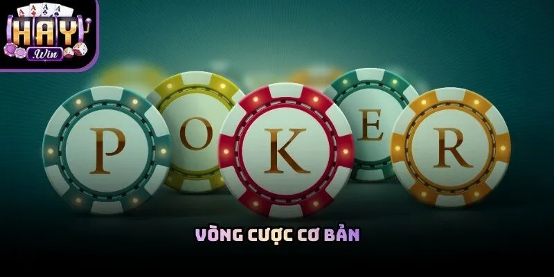 Bí kíp chơi bài poker Haywin hiệu quả yêu cầu cược thủ phải nắm bắt nhịp độ