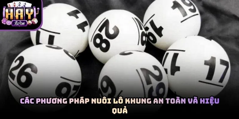 Triển khai bí kíp nuôi khung lô Haywin hiệu quả cho người mới
