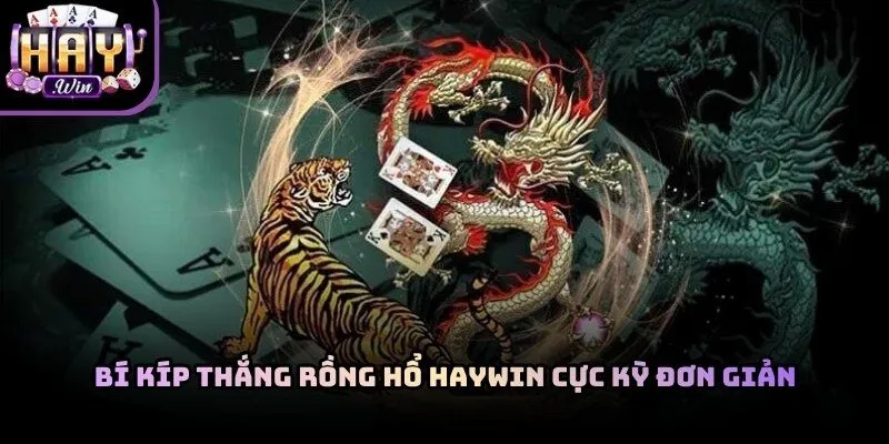 Bí Kíp Thắng Rồng Hổ Haywin