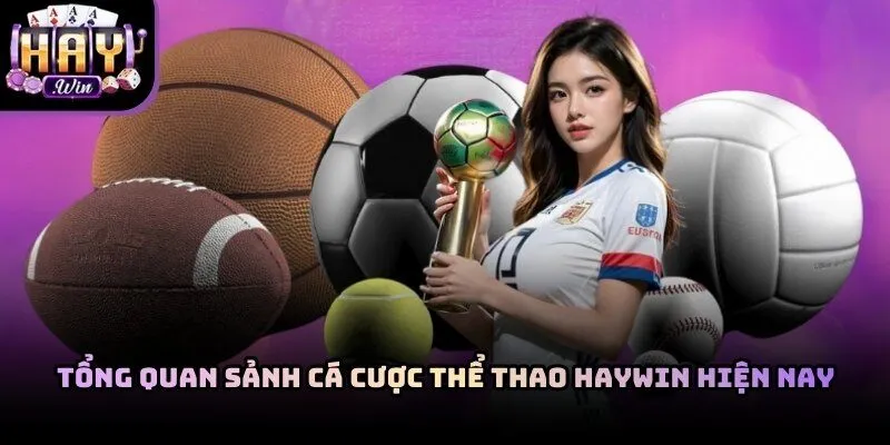 Giao diện sảnh cá cược thể thao Haywin hiện đại và chuyên nghiệp