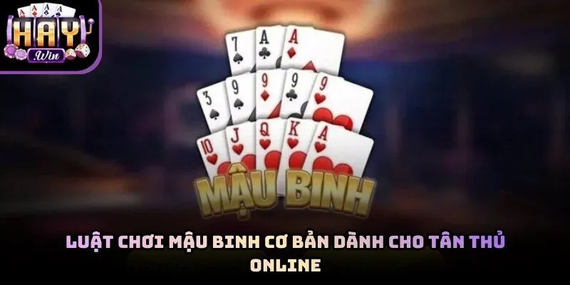 Mỗi người chơi được chia đủ 13 lá bài từ bộ bài Tây tiêu chuẩn để bắt đầu