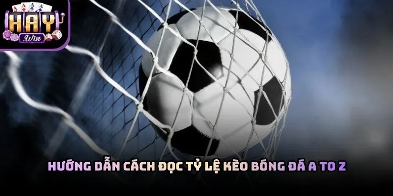 Cách Đọc Tỷ Lệ Kèo Bóng Đá