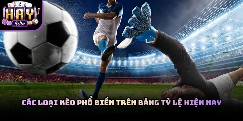 Người chơi cần hiểu cách đọc tỷ lệ kèo bóng đá trước khi tham gia