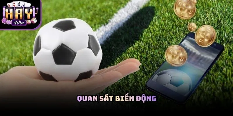 Phân tích biến động là cách đọc tỷ lệ kèo bóng đá tốt nhất năm 2026
