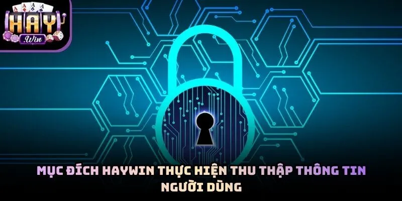 Hệ thống thu thập thông tin để phục vụ nhu cầu khách hàng