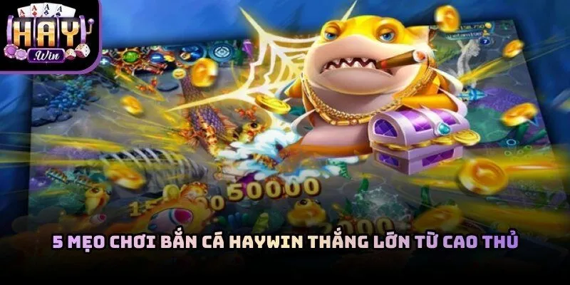 Mẹo Chơi Bắn Cá Haywin Thắng