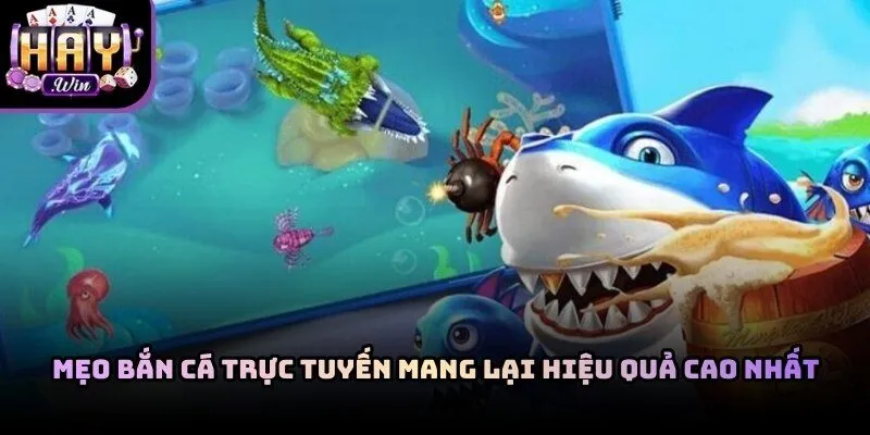 Hội viên áp dụng mẹo chơi bắn cá Haywin dễ thắng để săn Boss