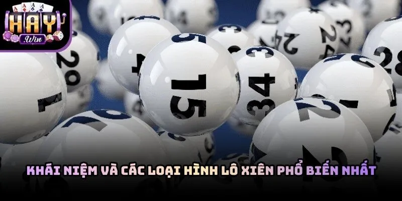 Tìm hiểu các loại hình trong mẹo đánh lô xiên Haywin thắng dễ nhất