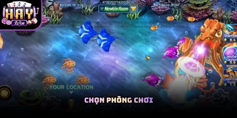 Người mới nên ưu tiên chọn những phòng có mức cược thấp để rèn luyện